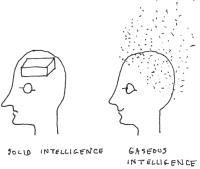 Intelligence 1